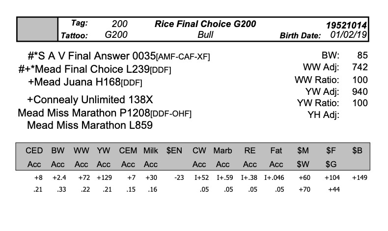 Screen Shot 2020-04-08 at 7.16.56 PM.png
