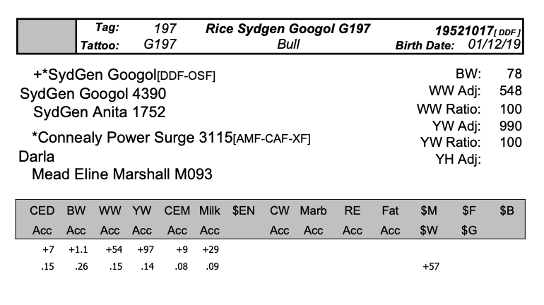 Screen Shot 2020-04-08 at 8.36.01 PM.png
