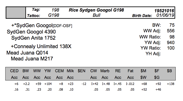 Screen Shot 2020-04-08 at 9.36.40 PM.png