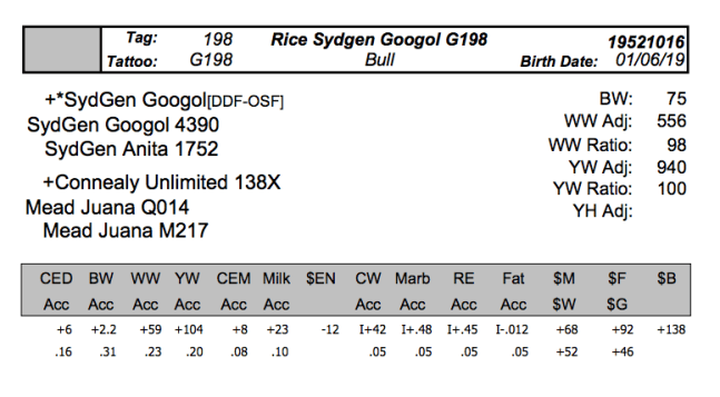 Screen Shot 2020-04-08 at 9.36.40 PM.png