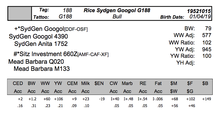 Screen Shot 2020-04-08 at 9.38.33 PM.png