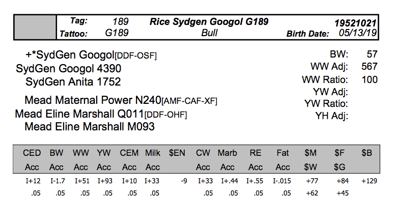 Screen Shot 2020-04-08 at 9.40.29 PM.png
