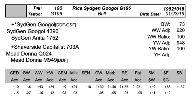 Screen Shot 2020-04-08 at 9.57.04 PM.png